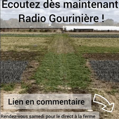 image radio